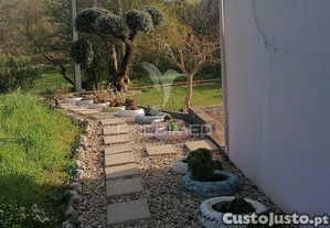 imagem_23