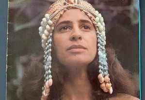 Maria Bethânia Pássaro Proíbido vinil LP 1976