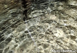 imagem_27