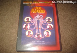 imagem_1
