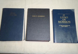 Várias Bíblias antigas 1963/68/97