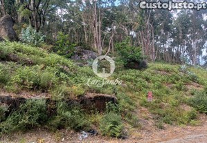[240-T-24324] Bouça com 1500m2 em Oliveira Sant...