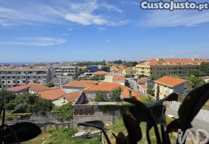 imagem_11