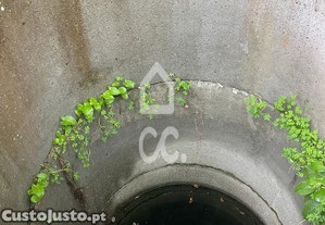imagem_12