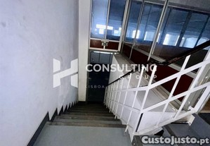 imagem_11
