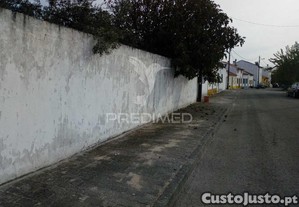 imagem_11