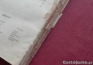 imagem_7