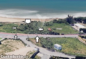 imagem_1