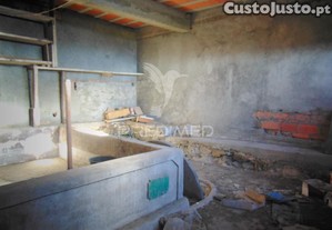 imagem_12