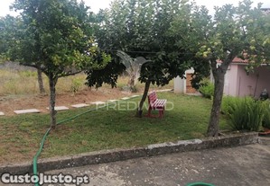 imagem_22