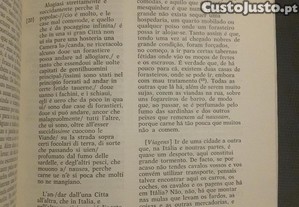 imagem_8