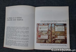 imagem_2