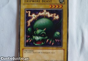 Cartas Yu-Gi-Oh M 7