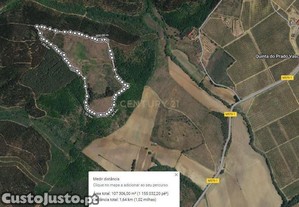 Terreno Agrícola 12Ha em Capinha, Fundão