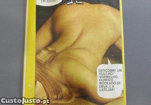 imagem_3