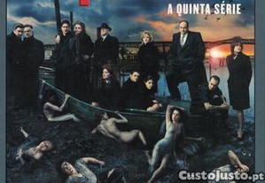 imagem_1