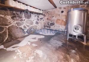 imagem_21