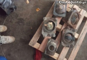 imagem_5
