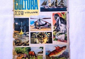 Caderneta Enciclopédia Cultura 1 Volume completa