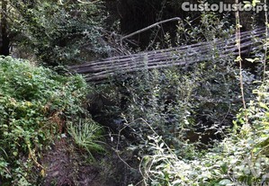 imagem_31