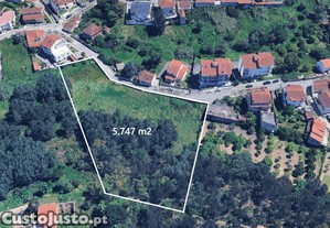 Terreno 5747 m2 I Fala - São Martinho do Bispo I Viabilidade Construção