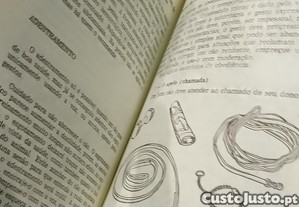imagem_7