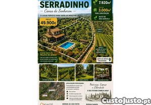 imagem_1