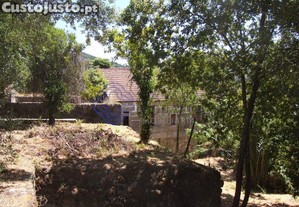 imagem_19