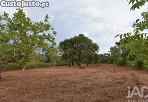 Terreno em Areias e Pias de 1850,00 m²