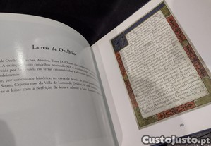 imagem_3