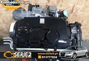 BLS - Motor Audi A31.9 TDi 105cv