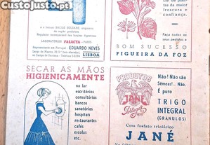 imagem_2
