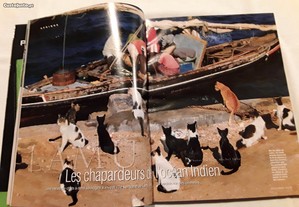 imagem_4