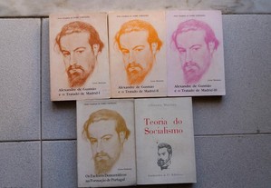 imagem_2