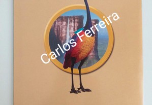 imagem_8