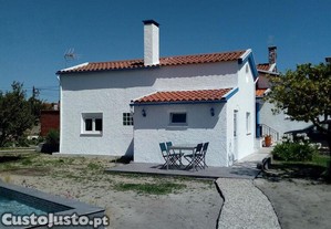 imagem_19
