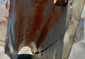 imagem_7