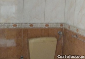 imagem_12