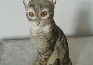 Cat /Gato, by Leonardo