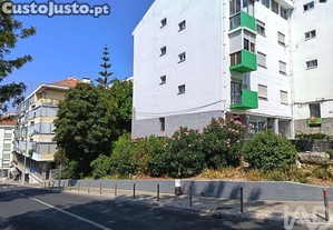 imagem_23