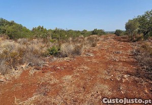 imagem_3
