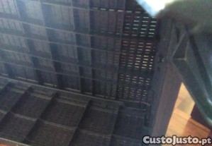 imagem_2