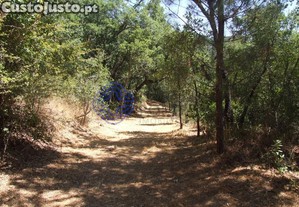 imagem_22