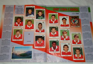 imagem_2