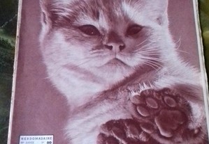 Le Patriote Ilustré 1952 gato capa vintage