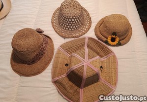 imagem_2