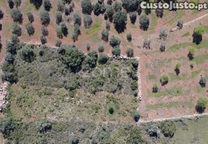 Terreno Rústico Com 1390 M² Na Zona De Lagoão