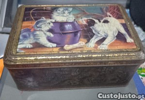 imagem_1