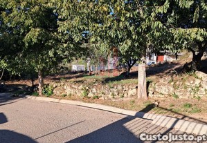 imagem_22