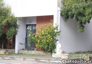 imagem_8